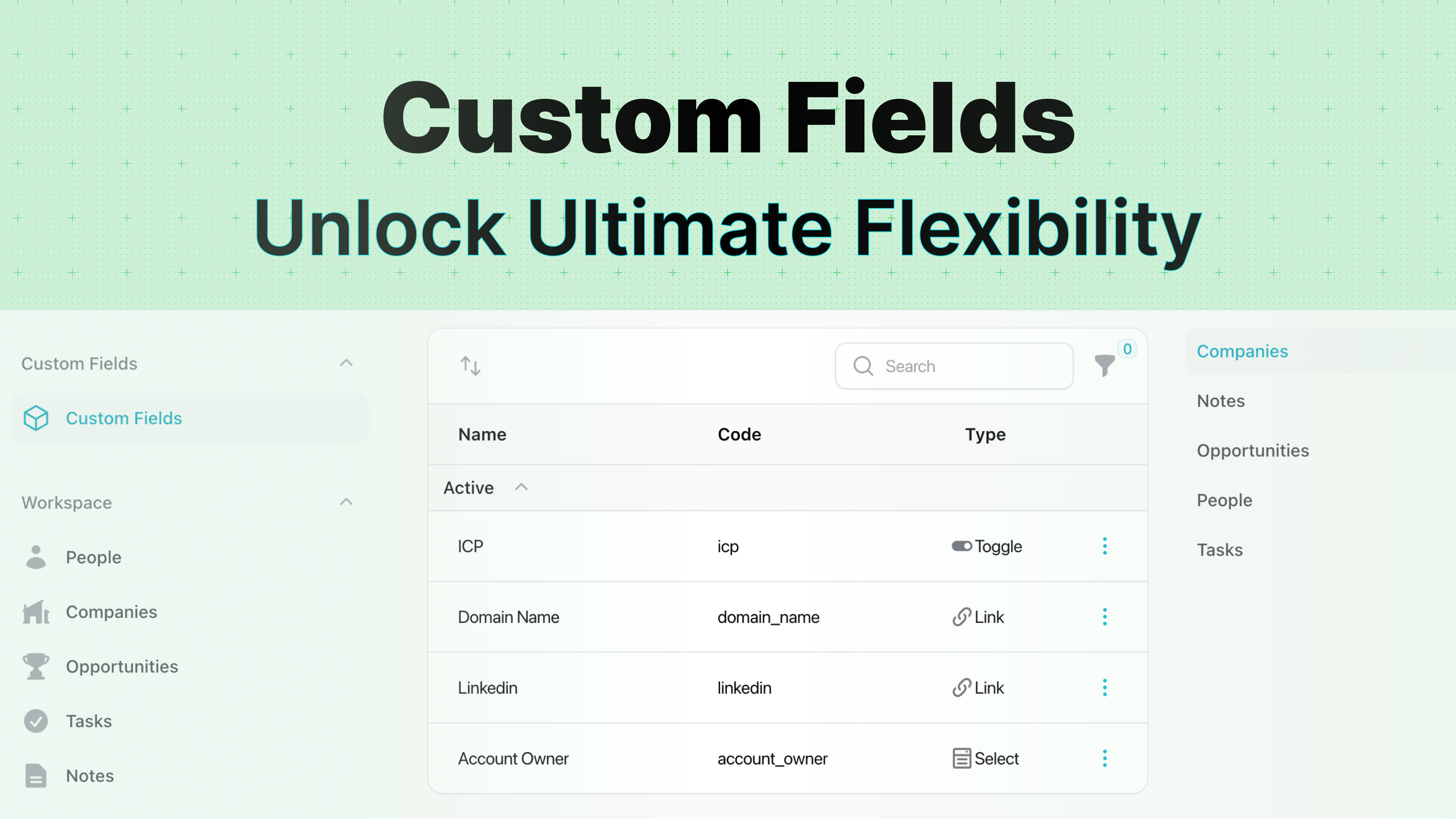 Custom Fields Preview